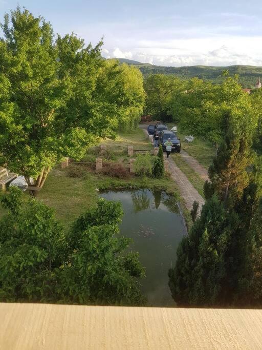 Cabana Mare In Intimitate Si Liniste Bosorod Εξωτερικό φωτογραφία