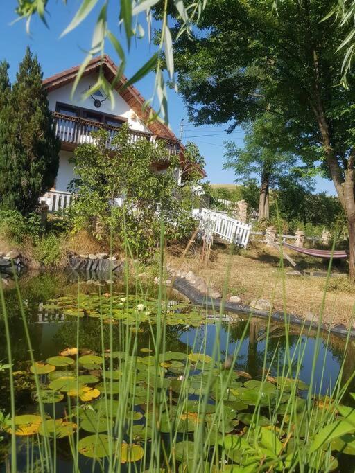 Cabana Mare In Intimitate Si Liniste Bosorod Εξωτερικό φωτογραφία