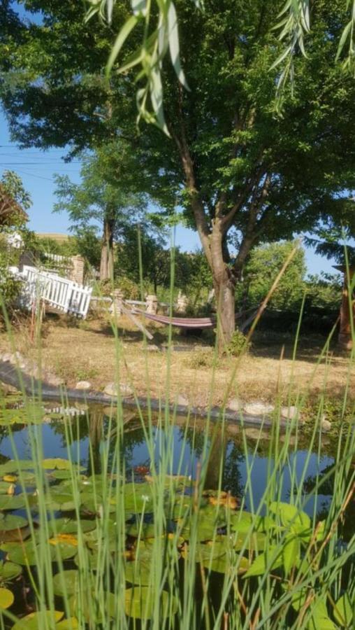 Cabana Mare In Intimitate Si Liniste Bosorod Εξωτερικό φωτογραφία