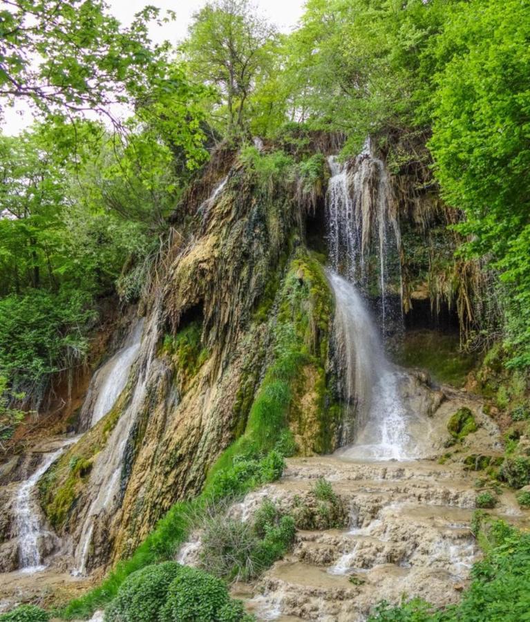 Cabana Mare In Intimitate Si Liniste Bosorod Εξωτερικό φωτογραφία